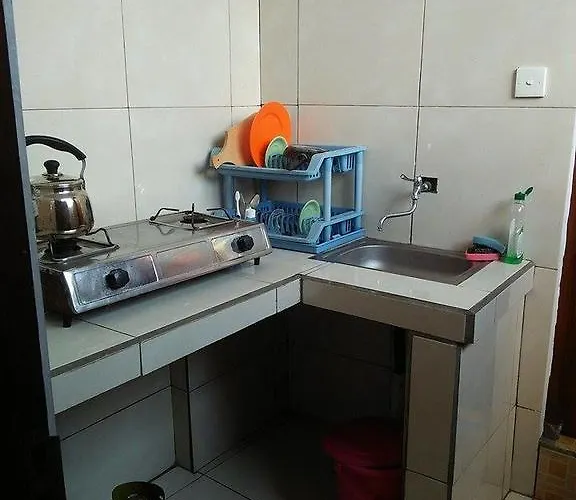 Dani 2*